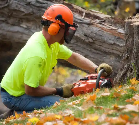 tree services Campbellsburg